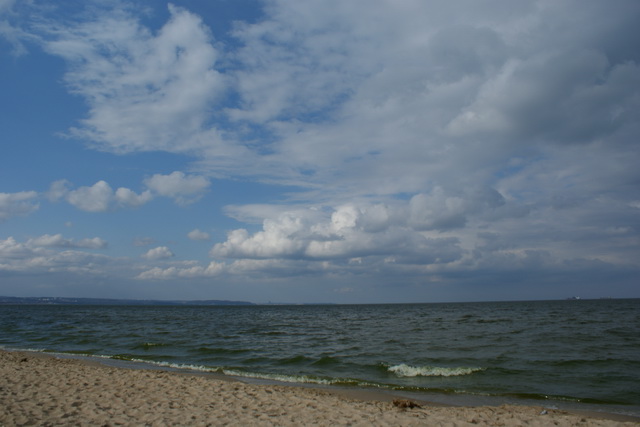 DSC01567