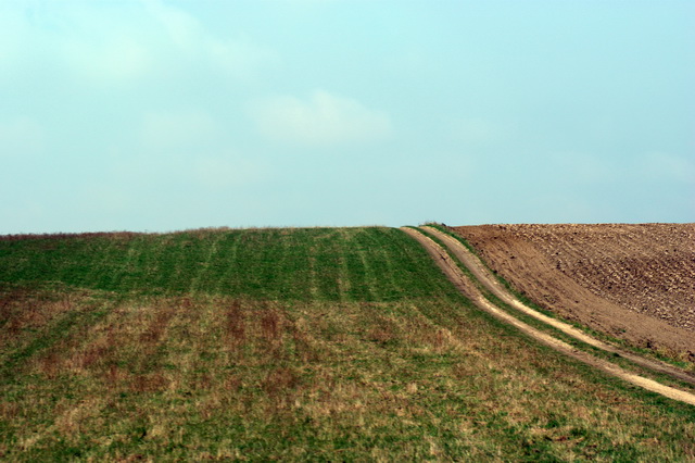 DSC01677