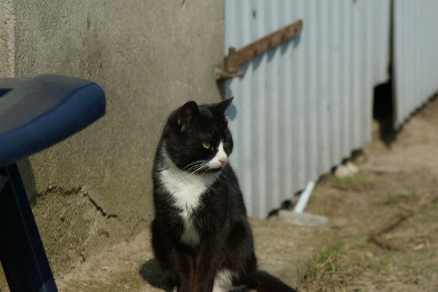 DSC01690