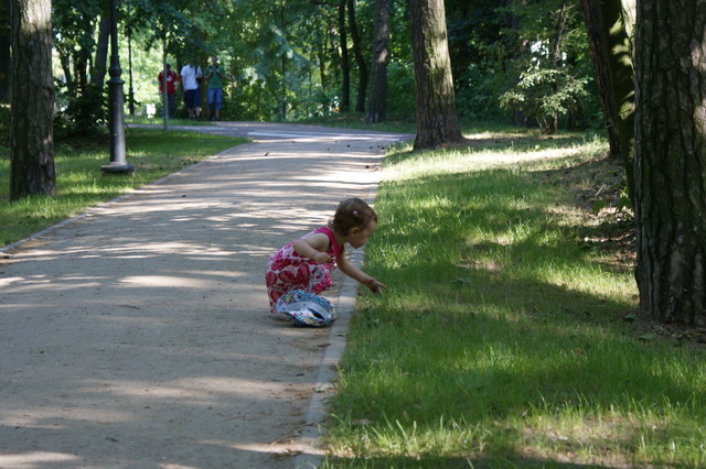DSC01509