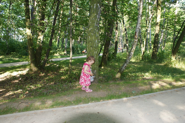 DSC01513