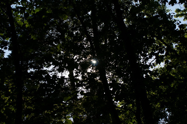 DSC01528