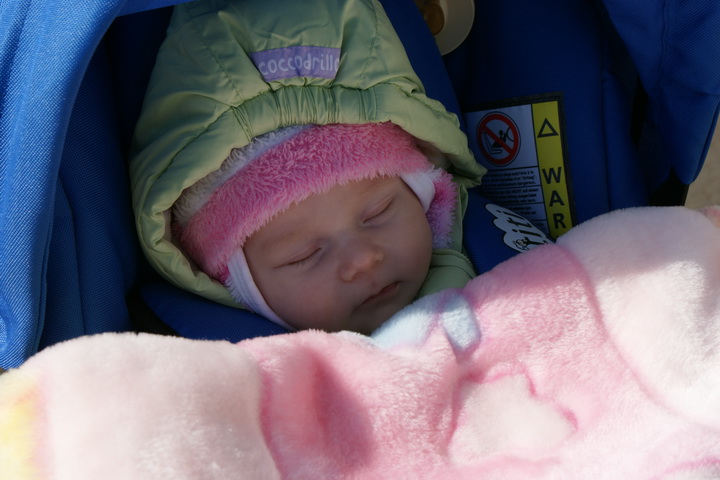 DSC07330