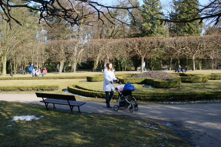 DSC07338
