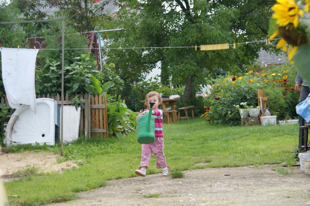 DSC03882