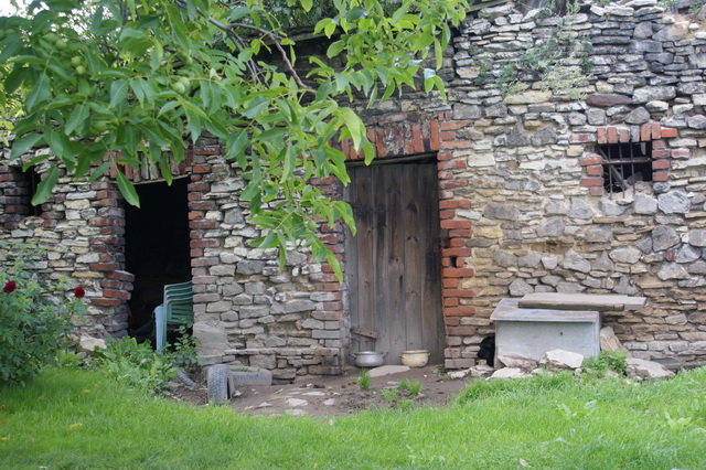DSC03911