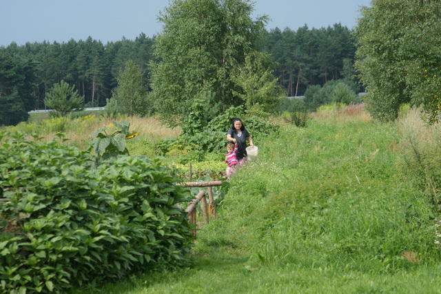 DSC03932