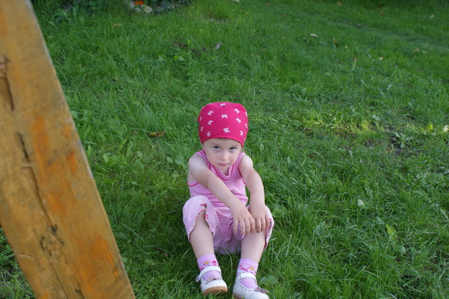 DSC03986