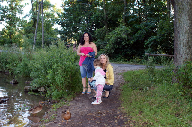 DSC04174
