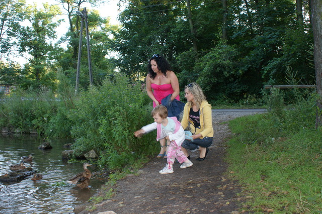 DSC04176