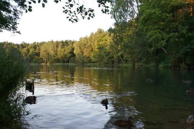 DSC04190