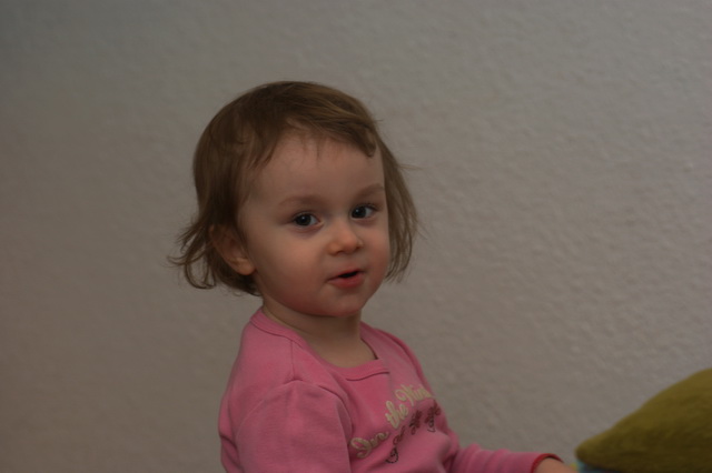 DSC02365