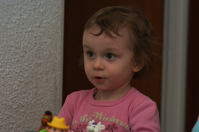 DSC02381