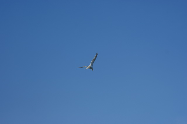 DSC03368