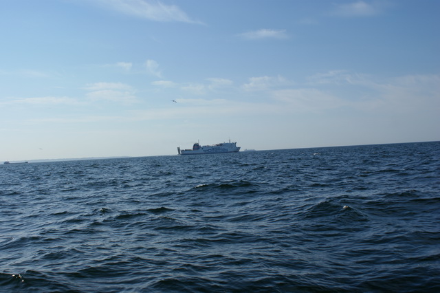 DSC03375