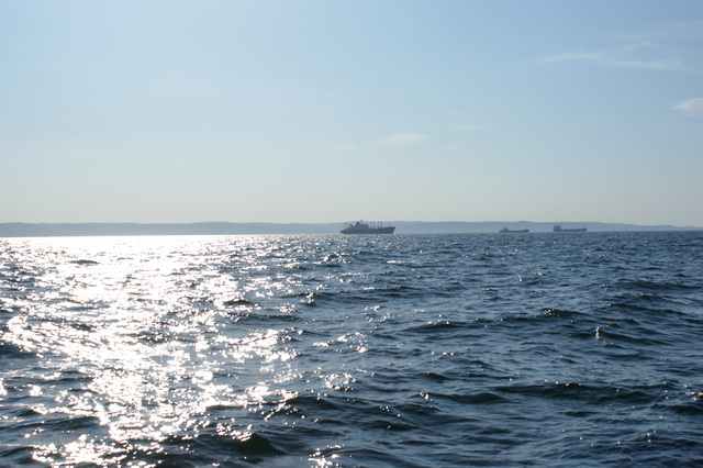 DSC03376