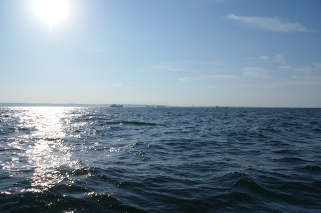 DSC03377