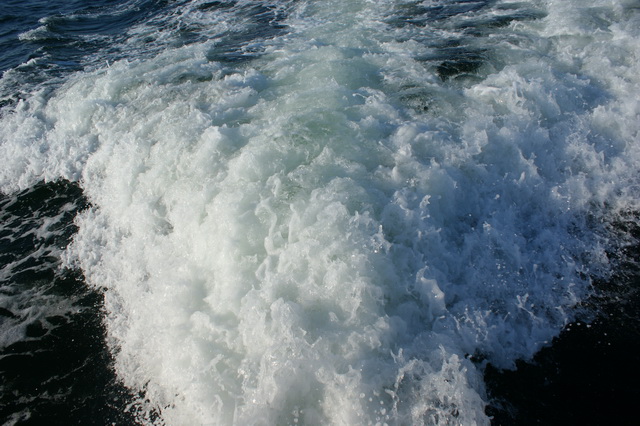 DSC03388