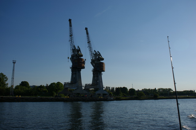 DSC03416