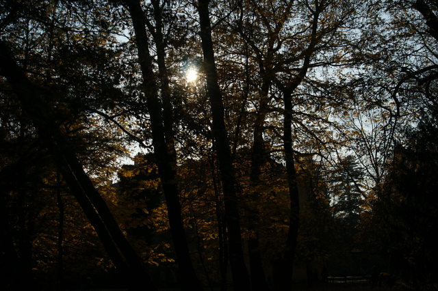 DSC05020