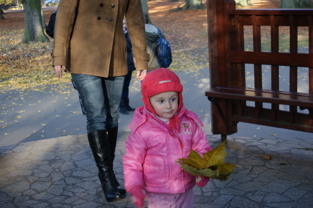 DSC05023
