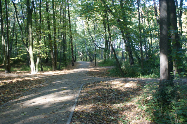 DSC04824