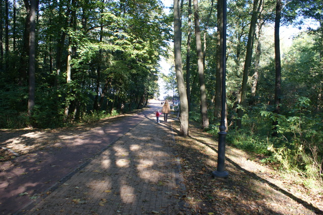 DSC04924