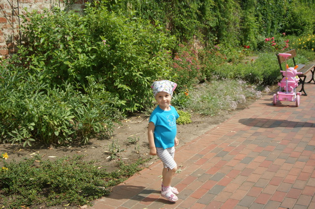 DSC03725