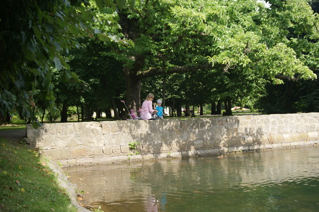 DSC03747