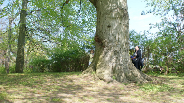 DSC05871
