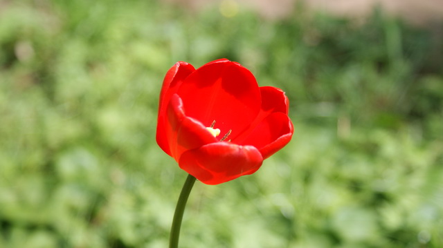 DSC05881