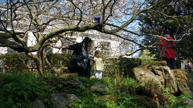 DSC05889