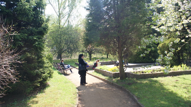 DSC05909