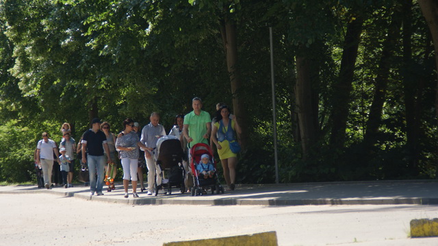 07 Lipiec 2013 ZOO