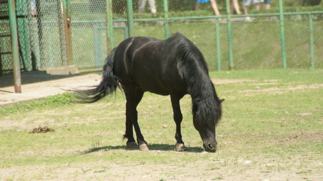 DSC08200