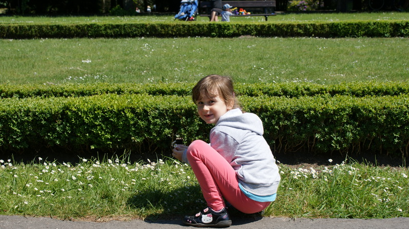 DSC00443