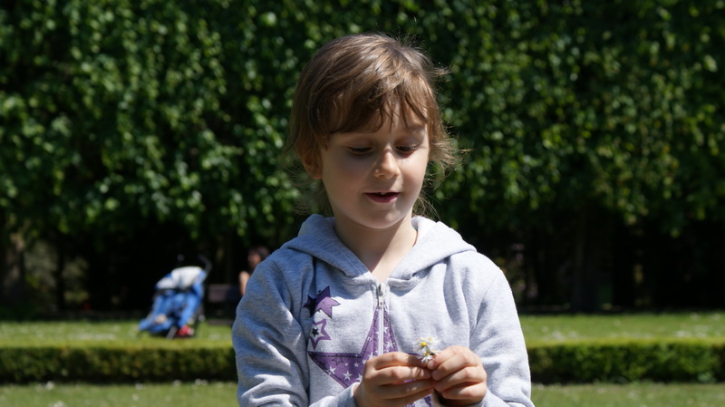 DSC00444