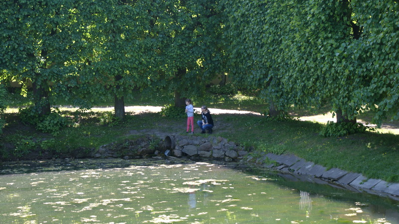 DSC00455