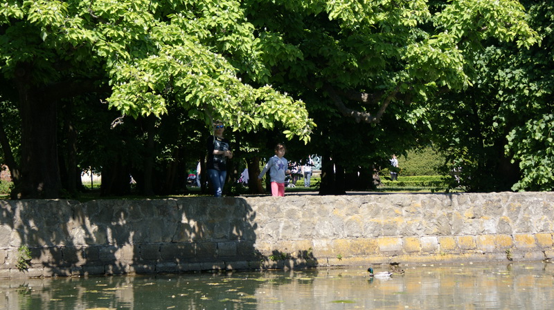 DSC00459