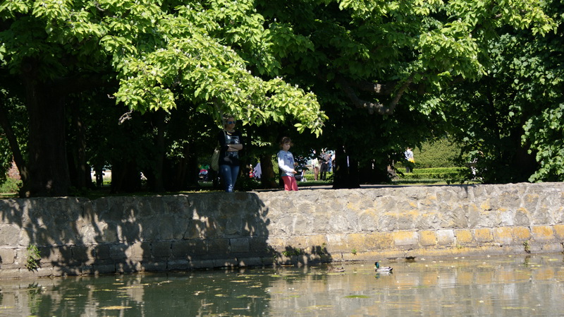 DSC00460