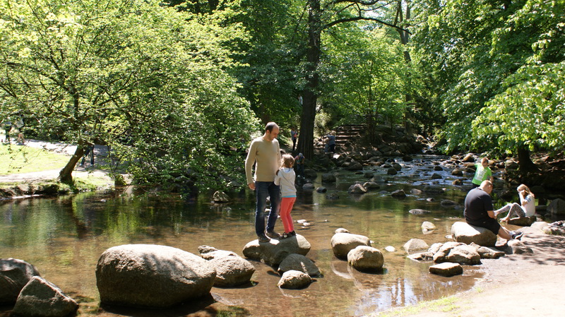 DSC00520