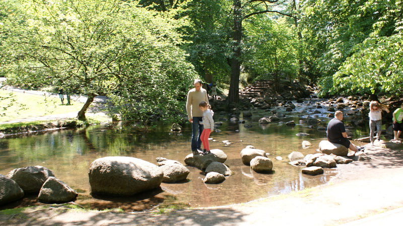 DSC00537