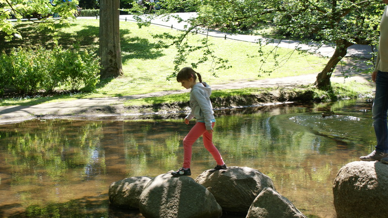 DSC00540