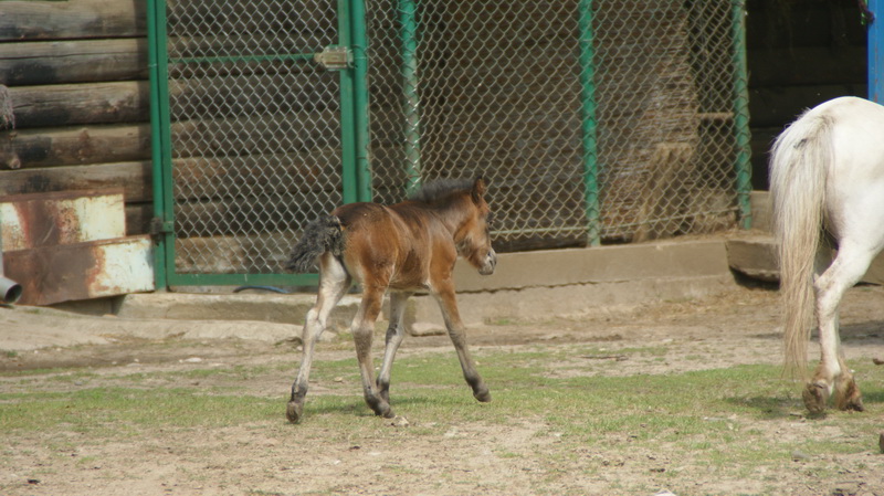 DSC02551 resize