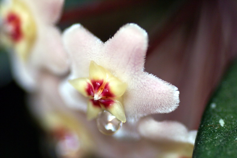 DSC01209