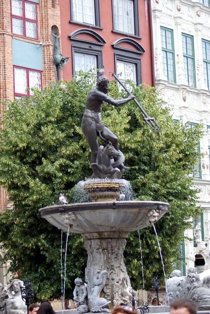 DSC00946