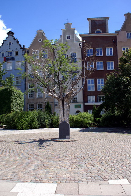 DSC00971