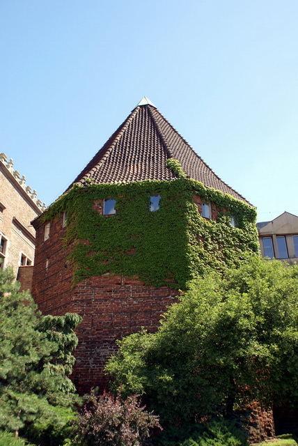 DSC00975