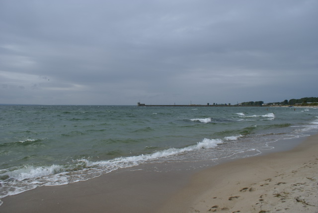DSC01682