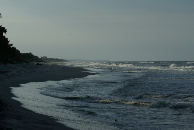 DSC01725